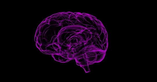 An image of a human brain glowing purple lights on a black background